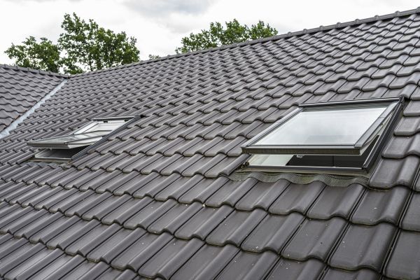 Skylight Renovation